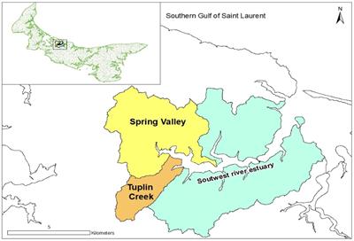 Modeling sediment concentrations and loads for two small agricultural watersheds in Prince-Edward-Island (Canada): present conditions and a future scenario